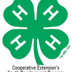 4-H Clover with tag line 2012