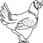 chicken