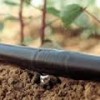 drip irrigation 2