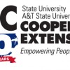 Centennial logo