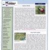 Garden News July 2014