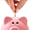 moneypig