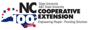 Centennial logo