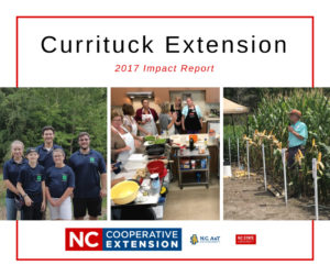 Currituck Extension logo image