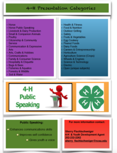 Cover photo for 4-H Presentations / District Activity Day