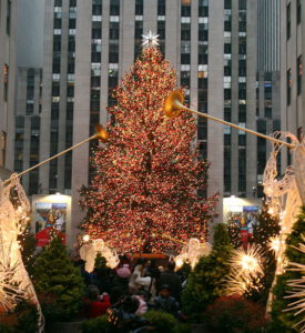 Cover photo for New York City-Day Trip (No More Seats Available - Thank You!)