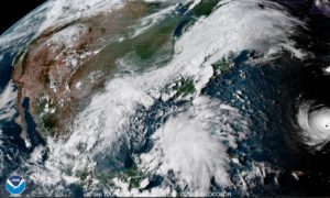 Cover photo for Disaster Resources - Florence