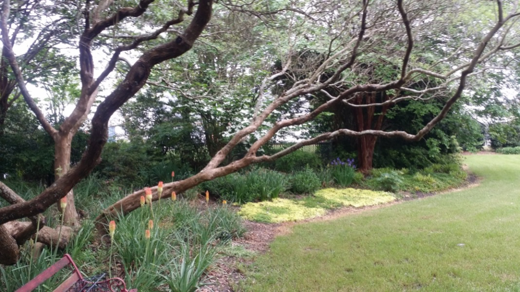 trees and flower bed