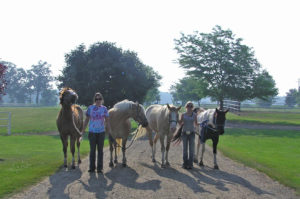 Horse and riders at camp