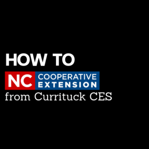Cover photo for Introducing Our New Video Series-How To
