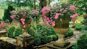 urns with pink flowers