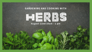 fresh herbs and words "Gardening & Cooking with Herbs"