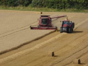 tractor picking wheat in field