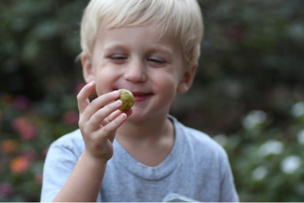 child holding grape