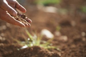 hand with soil from the ground