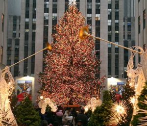 Christmas Tree in NYC