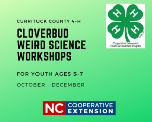 Cloverbud Workshop