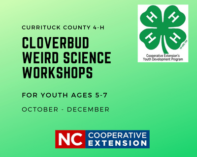 Cloverbud Workshop 