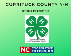 4-H Clover