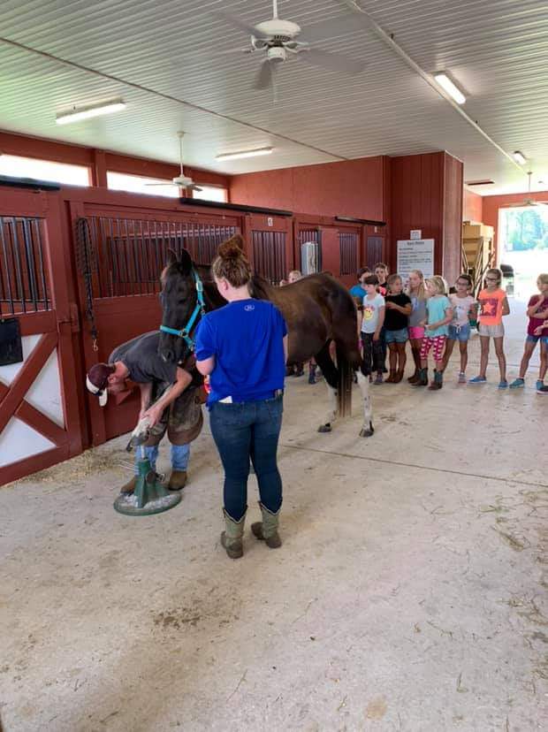 Farrior showing youth how to clean, trim and re-shoe a horse