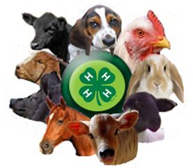 4-H Clover Medallion surrounded by pictures of various animals available for 4-H projects