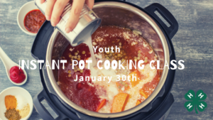 instant pot cooking picture