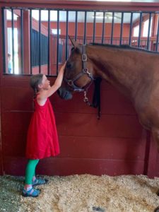 a little girl petting a horse