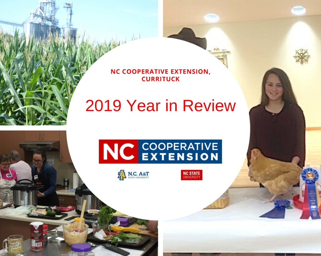 collage with pics of corn, cooking class and girl with prize winning chicken