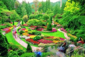 landscaped garden
