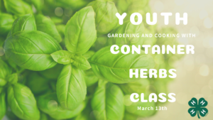 Container Herb Class