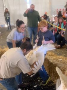 Turkey Show participants