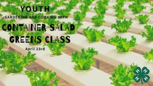 Cover photo for Gardening and Cooking: Youth Container Salad Greens (CANCELLED)