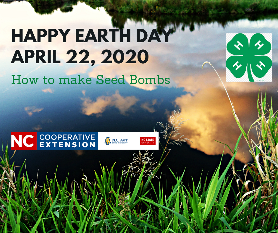 Earth Day 2020