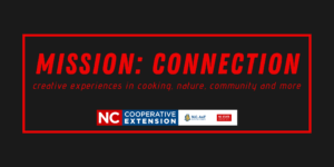 words "Mission:Connections" with our logos