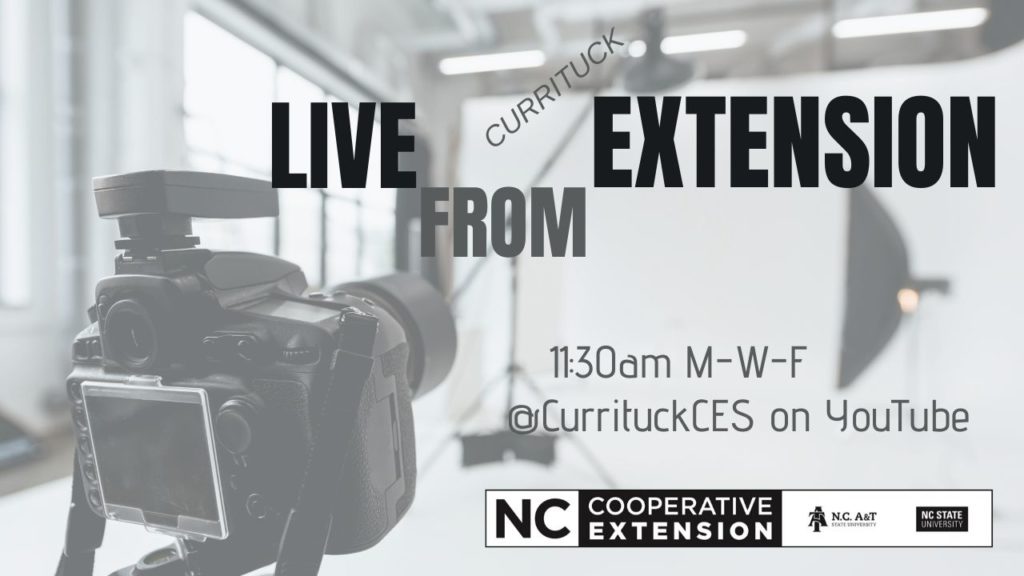 Ad for Live for Extension with camera and screen