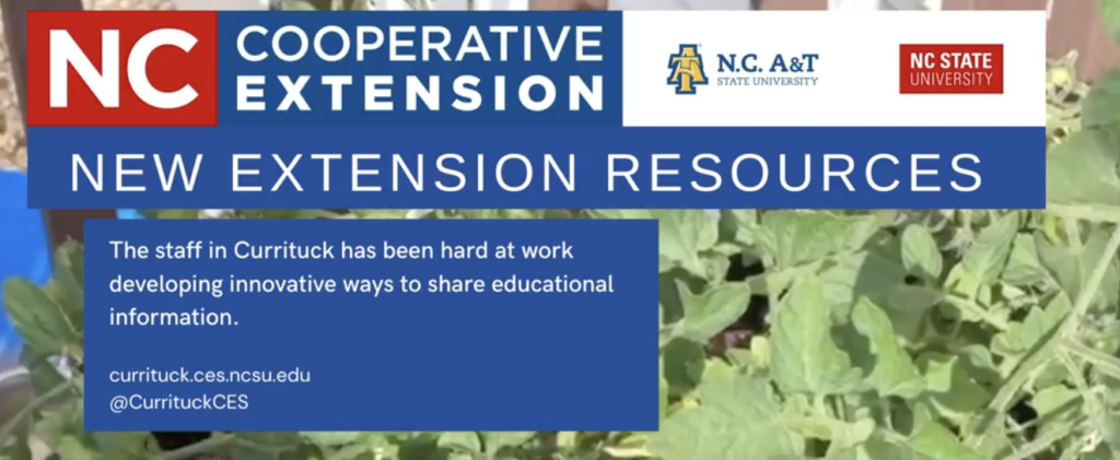 New Extension Resources | N.C. Cooperative Extension