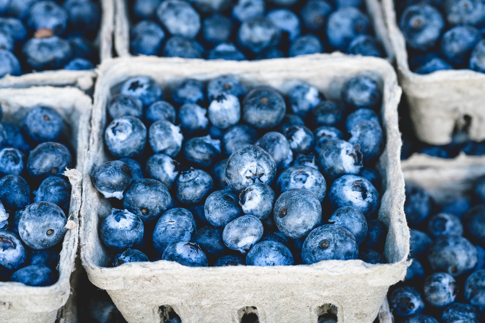 blueberries in carton