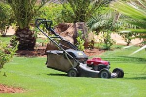 Cover photo for Spring and Summer Lawn Care