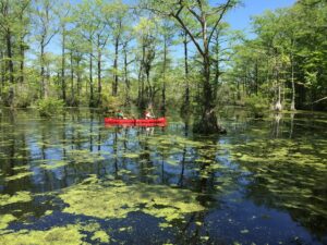 pond with canoe