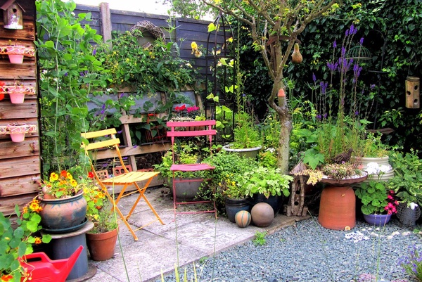 variety of plants and flowers on patio