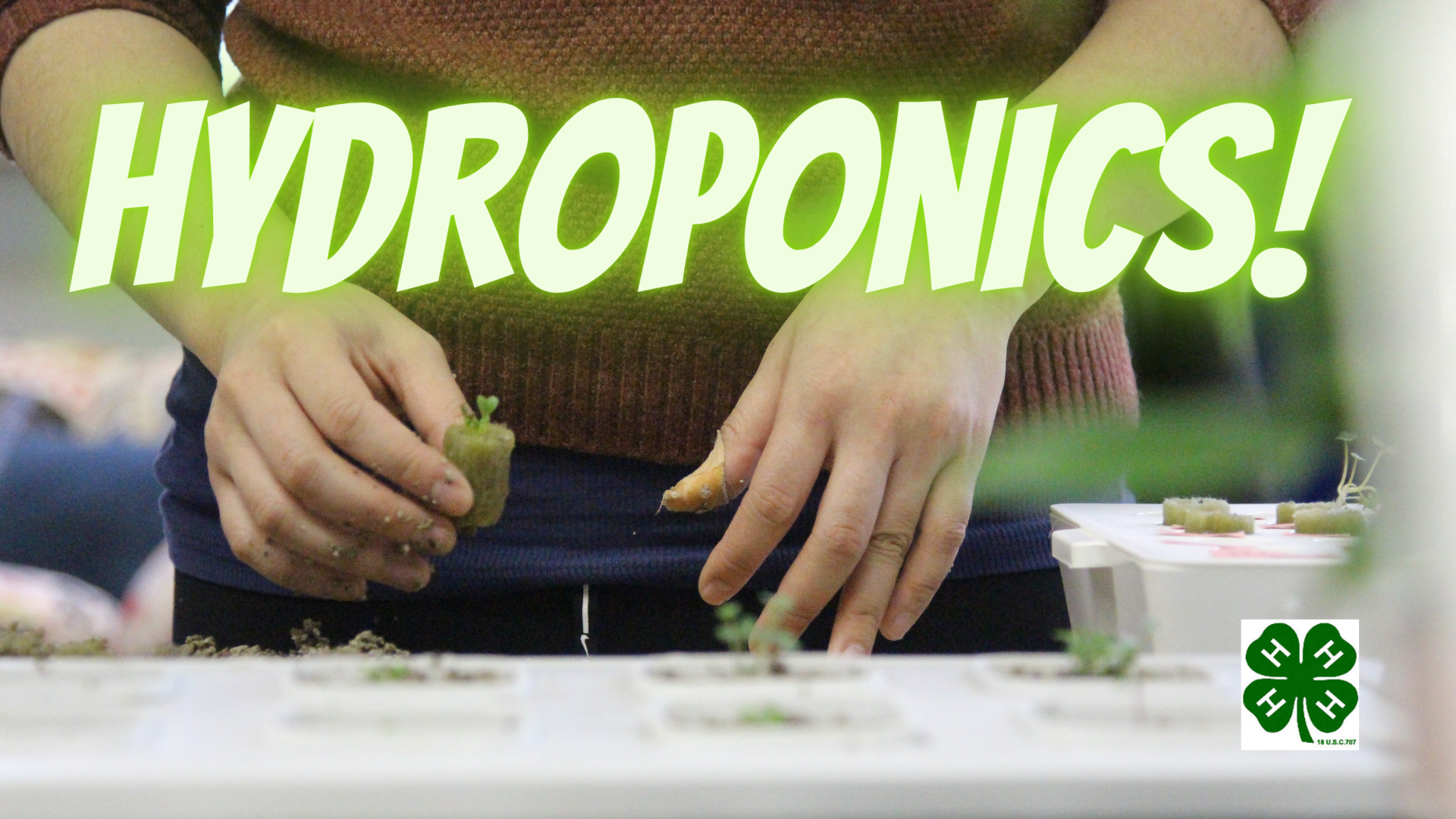 hydroponics