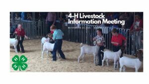 4-H Livestock Informational Meeting