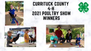 poultry show winners