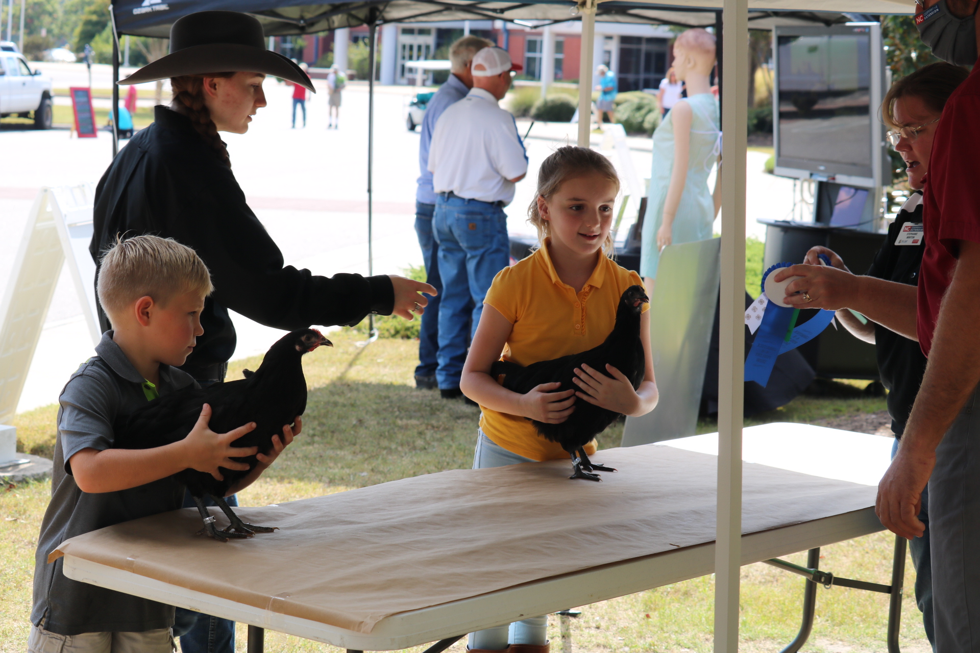 Youth with chickens in poultry show