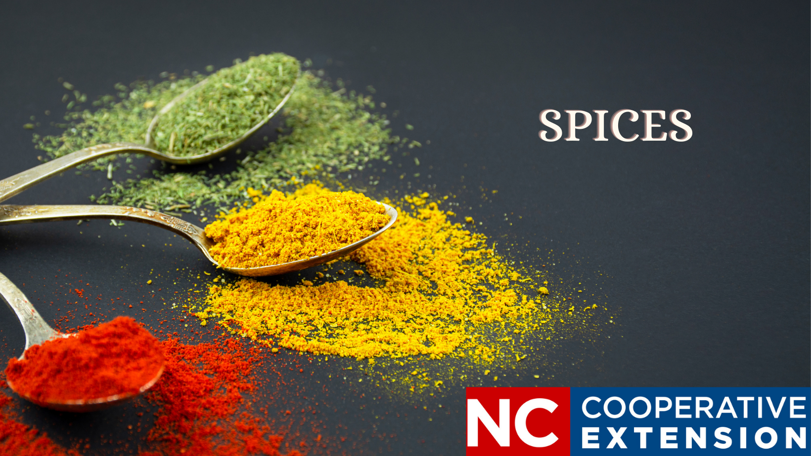 red, yellow and green powdered spices