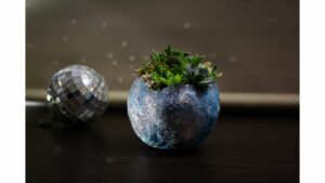 miniature garden in blue round planter