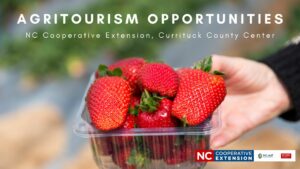container of strawberries advertising Agritourism Opportunity