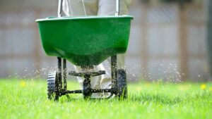 green wheel barrel on green lawn