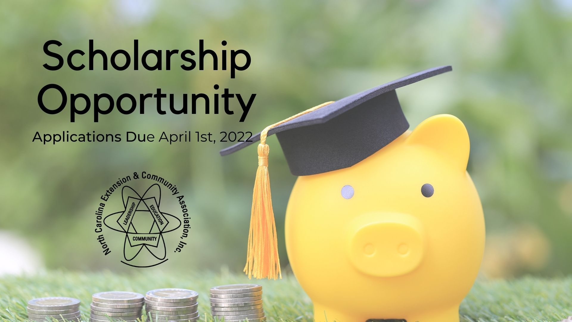 yellow piggy bank with grad cap on ad for scholarship