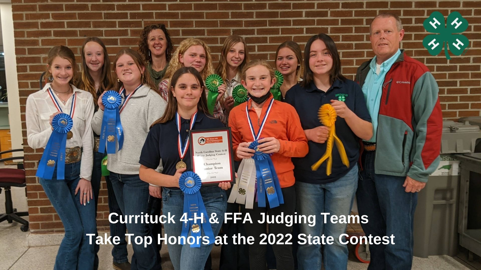 Horse Judging Winners